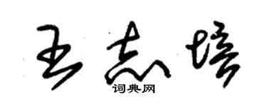 朱錫榮王志培草書個性簽名怎么寫