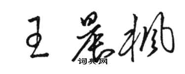 駱恆光王晨楓草書個性簽名怎么寫