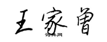 王正良王家曾行書個性簽名怎么寫