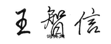 駱恆光王智信行書個性簽名怎么寫