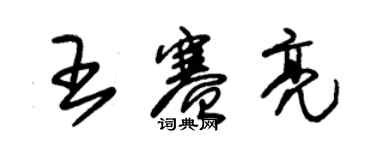 朱錫榮王賽亮草書個性簽名怎么寫