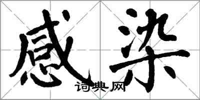 翁闓運感染楷書怎么寫