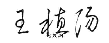 駱恆光王植陽草書個性簽名怎么寫