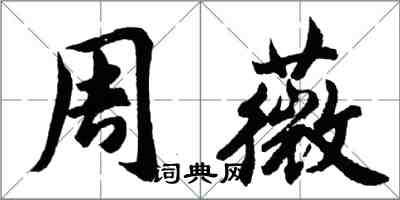 胡問遂周薇行書怎么寫