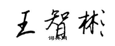 王正良王智彬行書個性簽名怎么寫