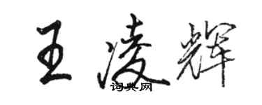 駱恆光王凌輝行書個性簽名怎么寫