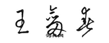 駱恆光王劍春草書個性簽名怎么寫