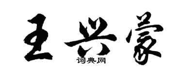 胡問遂王興蒙行書個性簽名怎么寫
