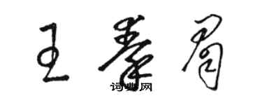 駱恆光王秦眉草書個性簽名怎么寫