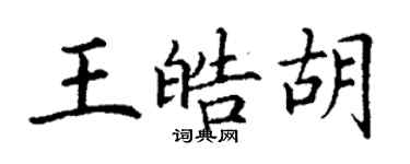 丁謙王皓胡楷書個性簽名怎么寫