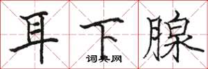 駱恆光耳下腺楷書怎么寫