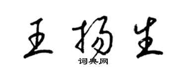 梁錦英王揚生草書個性簽名怎么寫