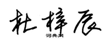朱錫榮杜梓辰草書個性簽名怎么寫