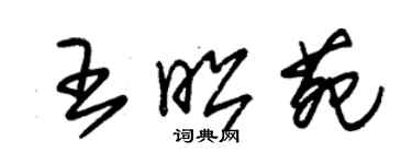 朱錫榮王昭苑草書個性簽名怎么寫