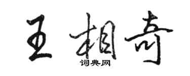 駱恆光王相奇行書個性簽名怎么寫
