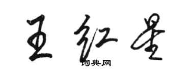 駱恆光王紅星行書個性簽名怎么寫