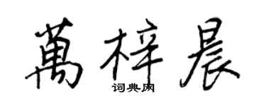 王正良萬梓晨行書個性簽名怎么寫