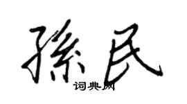 王正良孫民行書個性簽名怎么寫
