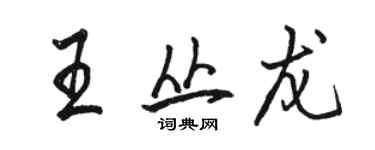 駱恆光王叢龍行書個性簽名怎么寫