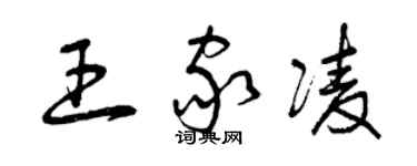 曾慶福王家凌草書個性簽名怎么寫