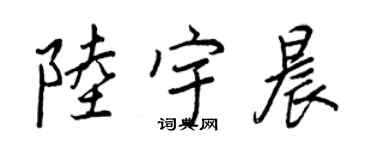 王正良陸宇晨行書個性簽名怎么寫