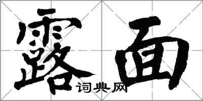 翁闓運露面楷書怎么寫