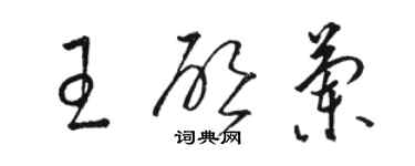 駱恆光王啟蘭草書個性簽名怎么寫