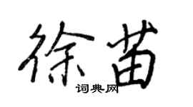 王正良徐苗行書個性簽名怎么寫