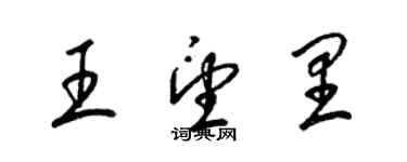 梁錦英王望里草書個性簽名怎么寫