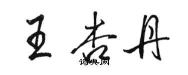 駱恆光王杏丹行書個性簽名怎么寫