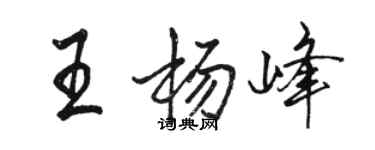 駱恆光王楊峰行書個性簽名怎么寫