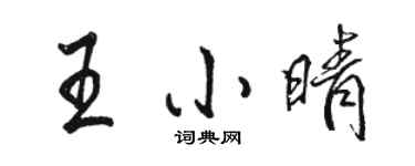 駱恆光王小晴行書個性簽名怎么寫