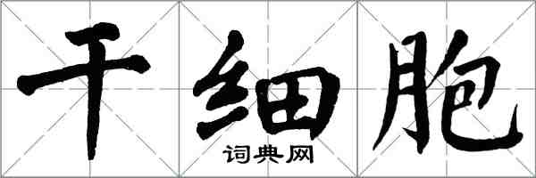 翁闓運幹細胞楷書怎么寫