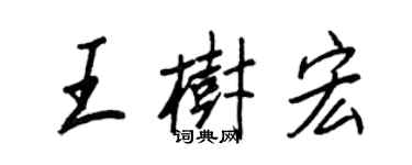王正良王樹宏行書個性簽名怎么寫