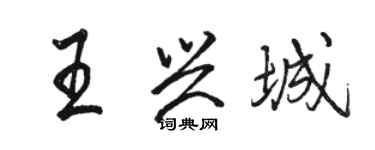 駱恆光王興城行書個性簽名怎么寫