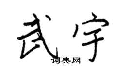 王正良武宇行書個性簽名怎么寫