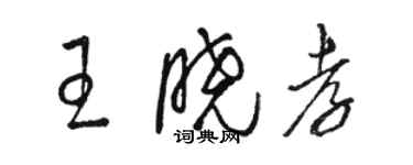 駱恆光王曉孝草書個性簽名怎么寫