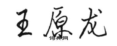 駱恆光王原龍行書個性簽名怎么寫