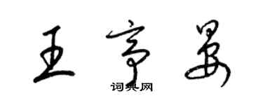 梁錦英王亭晏草書個性簽名怎么寫