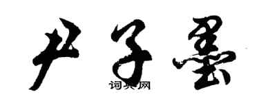 胡問遂尹子墨行書個性簽名怎么寫