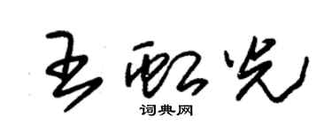 朱錫榮王虹光草書個性簽名怎么寫
