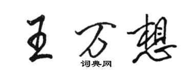 駱恆光王萬想行書個性簽名怎么寫
