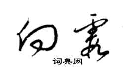 梁錦英向霞草書個性簽名怎么寫