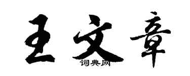 胡問遂王文章行書個性簽名怎么寫