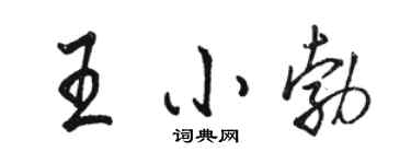 駱恆光王小勃行書個性簽名怎么寫