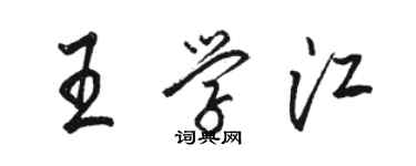 駱恆光王學江行書個性簽名怎么寫
