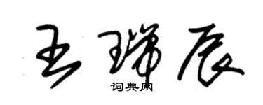 朱錫榮王瑞辰草書個性簽名怎么寫