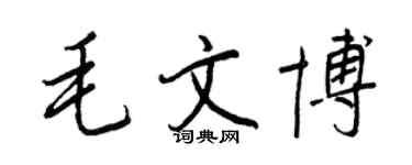 王正良毛文博行書個性簽名怎么寫