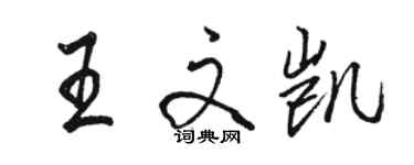 駱恆光王文凱行書個性簽名怎么寫