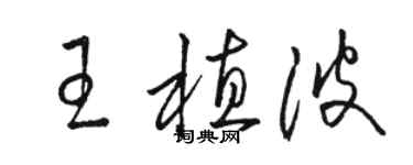 駱恆光王植波草書個性簽名怎么寫